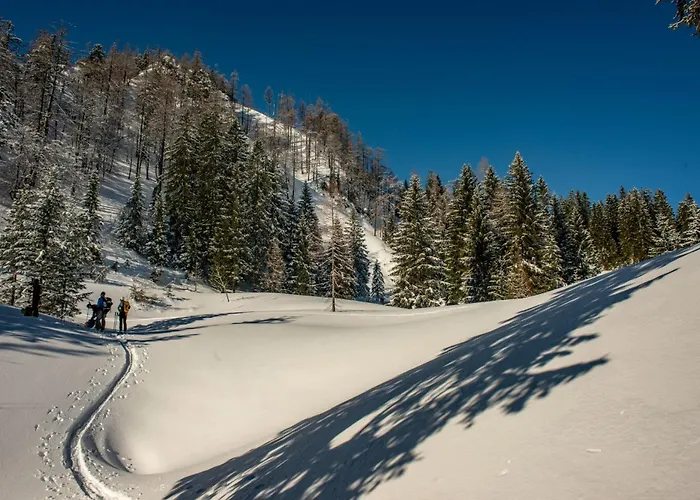 Naturparkresort Alte Schule