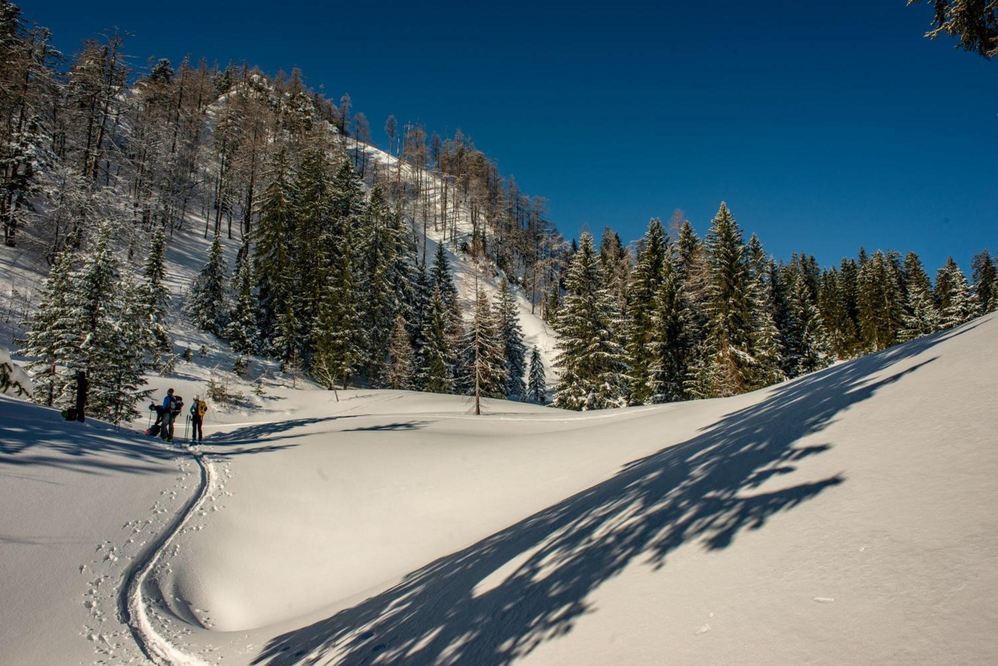 Naturparkresort Alte Schule *